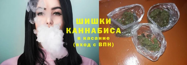 мдпв Киреевск