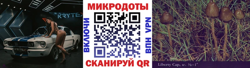 Купить закладки  Обь  Галлюциногенные грибы Psilocybine cubensis 